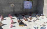 توزیع کفش و بسته های پوشاکی و غذایی بین نیازمندان روستای دهنو اسلام آباد سرفاریاب-